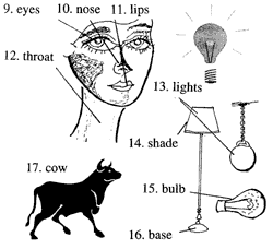 Eyes , Nose , Lips, Throat Mata, Hidung, Bibir, Kerongkongan