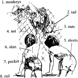 Monkeys Monkeys