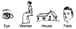 Simple sentence 简单的句子
