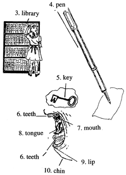 Library and an open mouth 图书馆和一张开放嘴