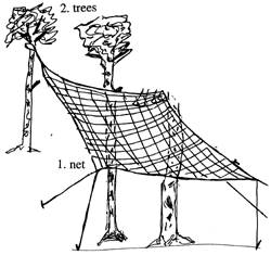 A net is in the trees 网是在树