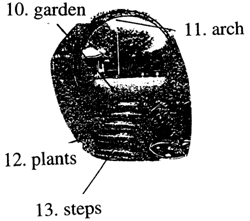 The steps go into the garden 步进入庭院.
