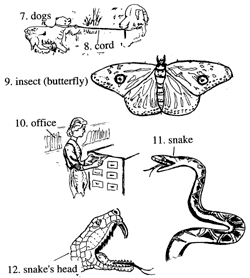 Dogs and snakes 狗和蛇