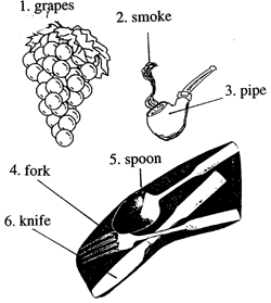 Grapes 葡萄