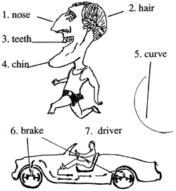 A Man's Head 一个人的头