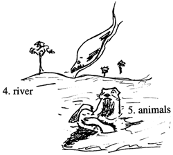 River Animals 河动物