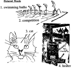 Swimming Baths 眩晕的沐浴